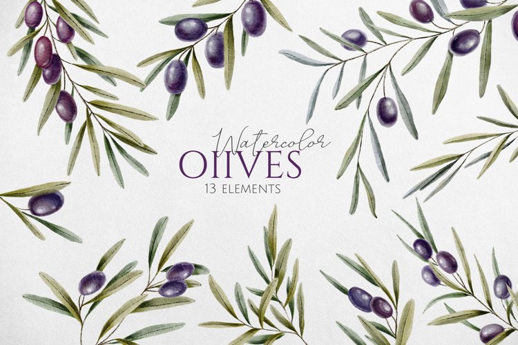 Watercolor Leaves Clipart Image 20