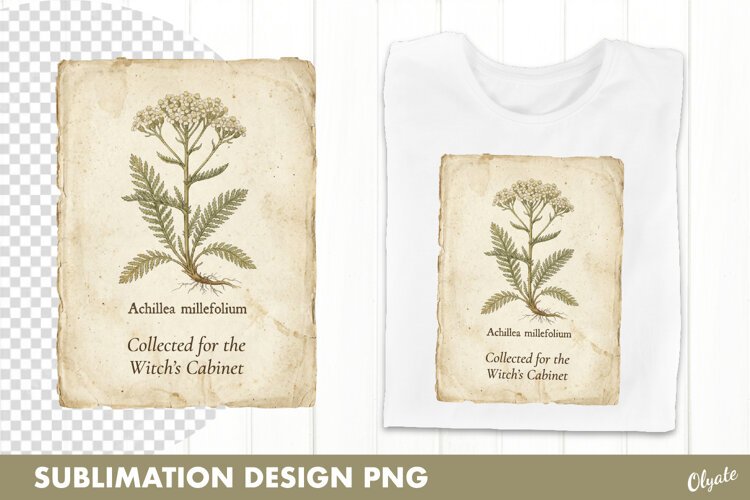 Witch’s Herbarium PNG. Vintage Botanical Illustration example image 1