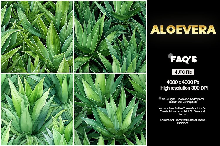 Aloe vera Square Coaster - 04 Variations