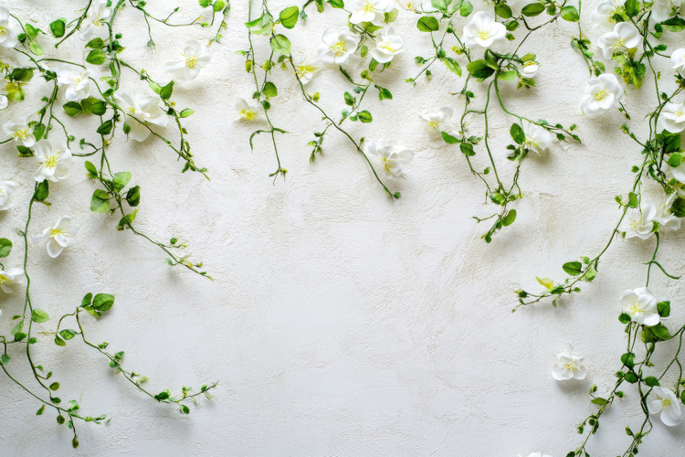 White Wallpaper Image 20