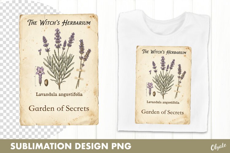 Witch’s Garden, Herbarium. Vintage Botanical PNG example image 1
