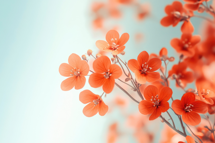 Plum Clipart Image 8