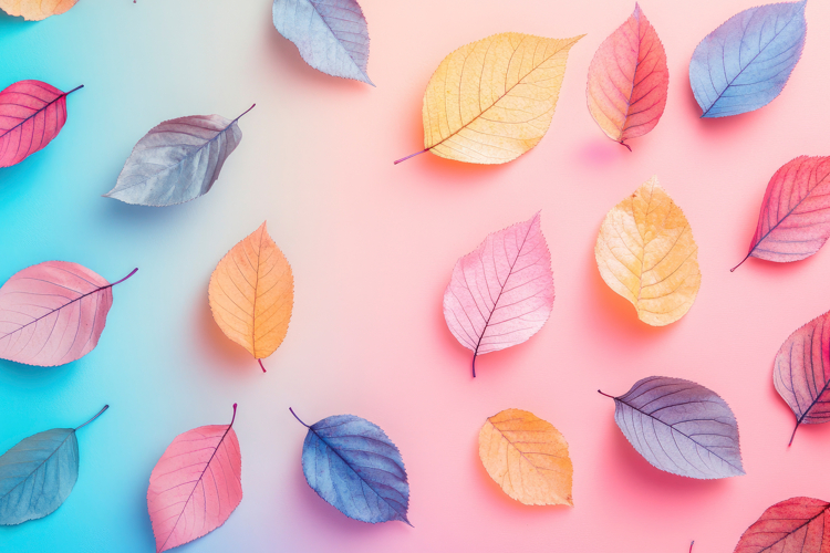 Colorful Background Image 4