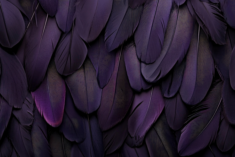 Purple Background Image 3