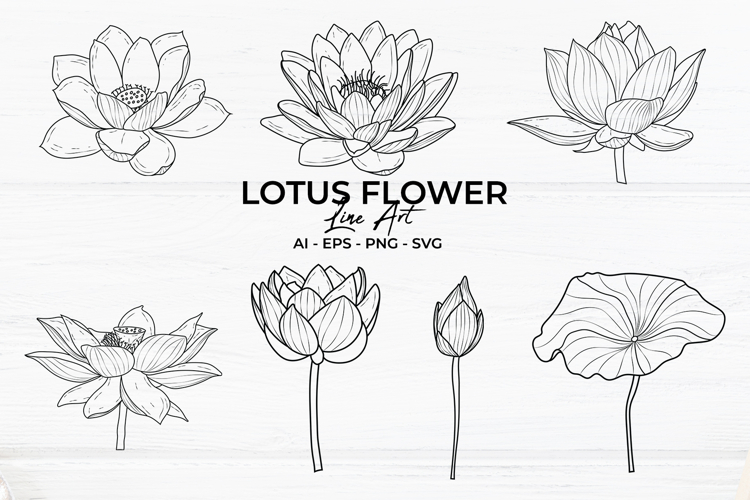 Lotus Flower Line Art