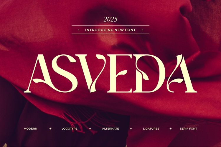 Classy Alphabet Font Image 13