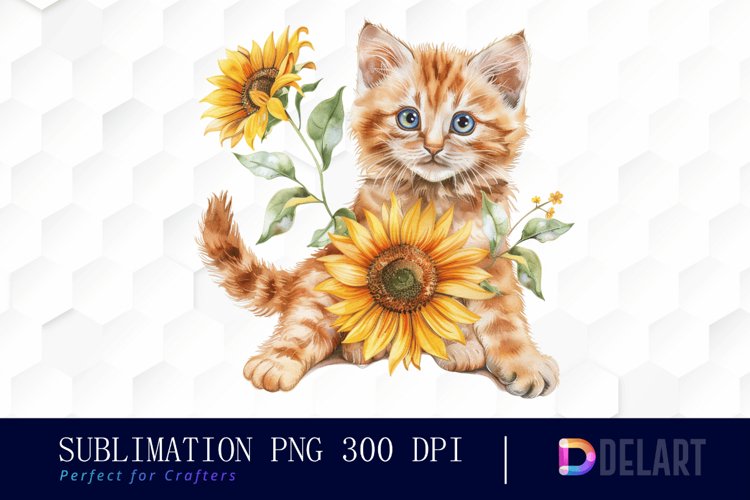 Kitten Png Image 13