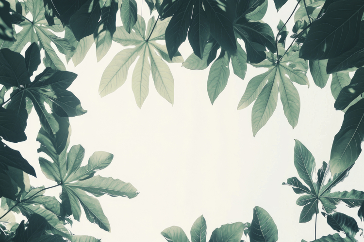Wallpaper White Background Image 23