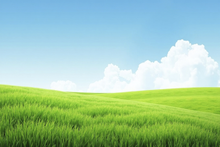 Grass Background Image 17