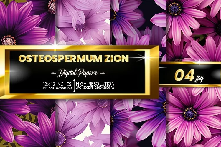 Osteospermum Zion Digital Papers