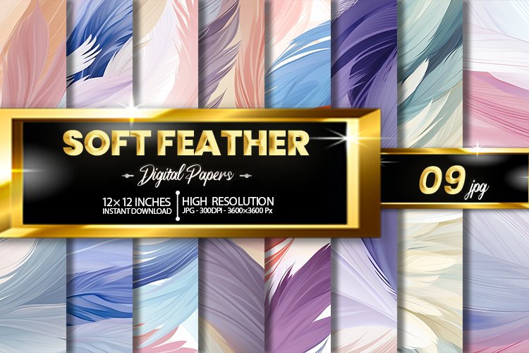 Feather Clipart Image 13