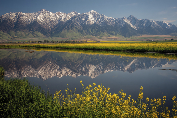 Ocean Texture Image 10