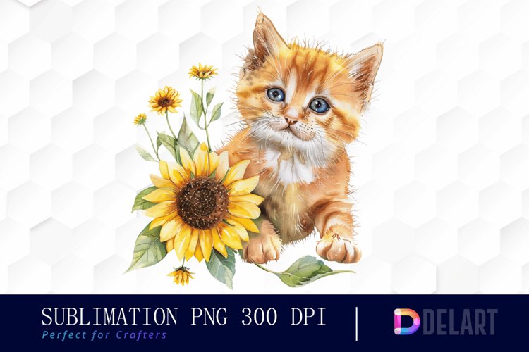 Kitten Png Image 6