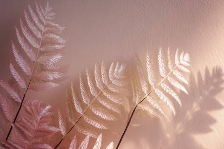 Fern Leaves Background