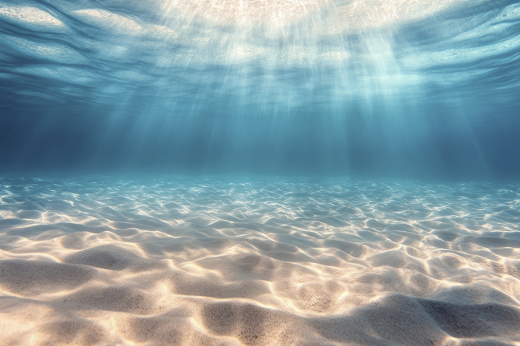 Underwater Clipart