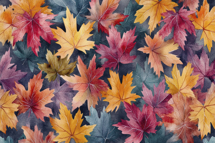 Decoration Clipart Image 22