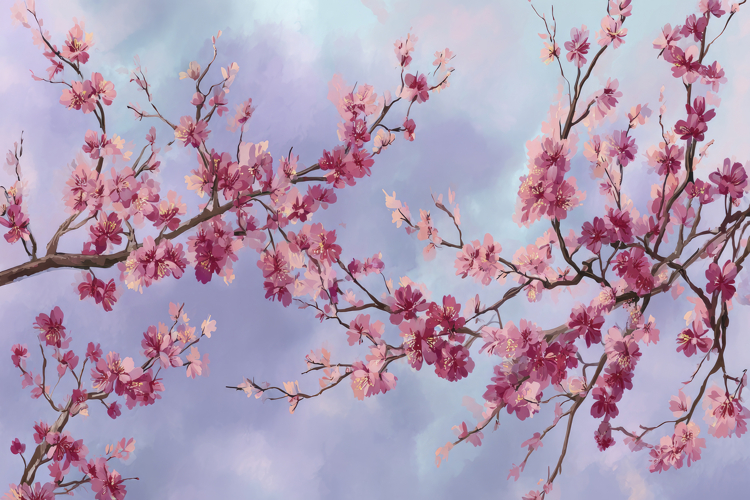Cherry Background Image 9
