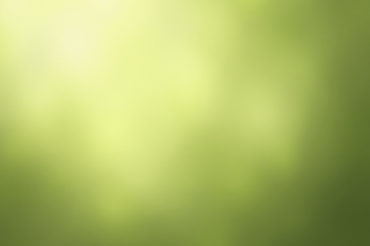 Green Texture Background Image 10