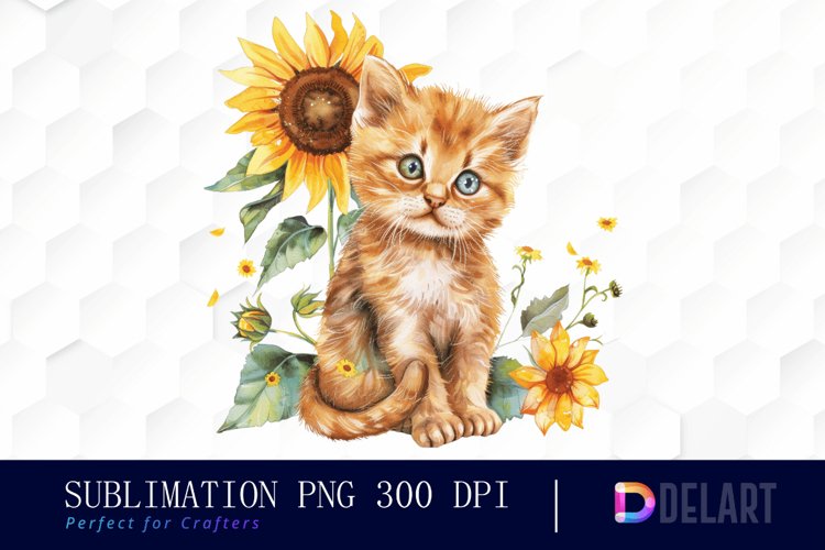 Kitten Png Image 5