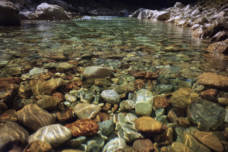 Pebble Texture Image 24
