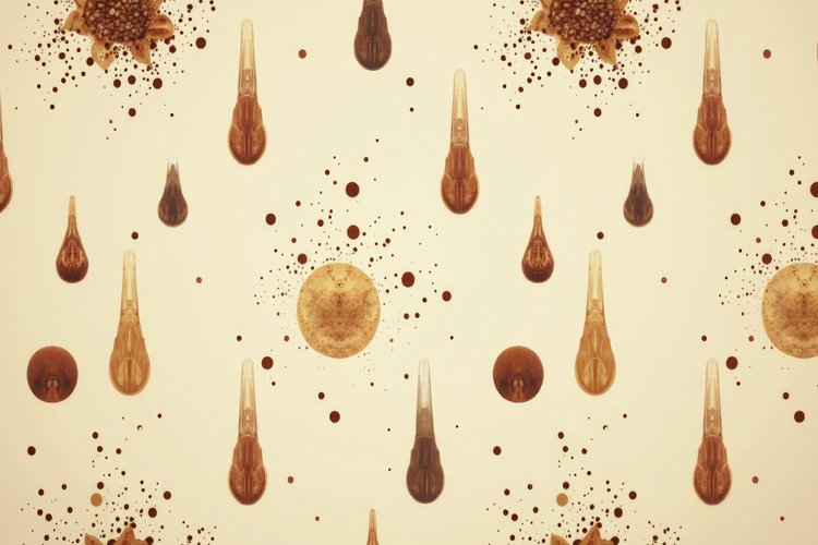 Liquid Texture Image 8