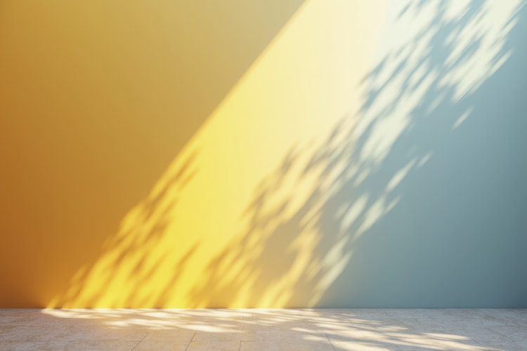 Shadows of Leaves with Wall Background Wallpaper