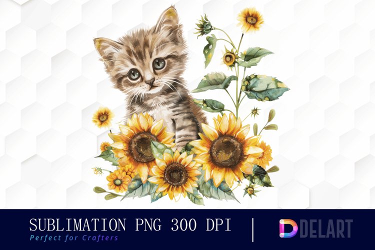 Kitten Png Image 4
