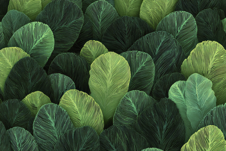 Green Texture Background Image 10