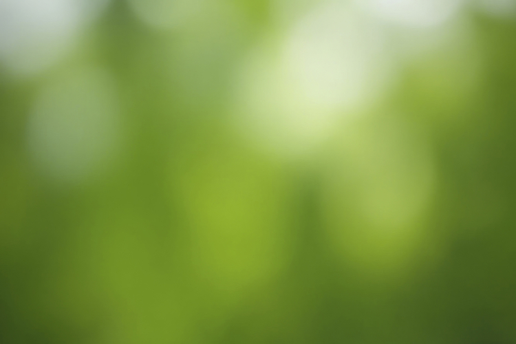 Green Bokeh Background Wallpaper