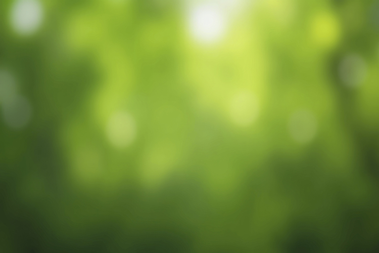 Bokeh Effect Background Wallpaper