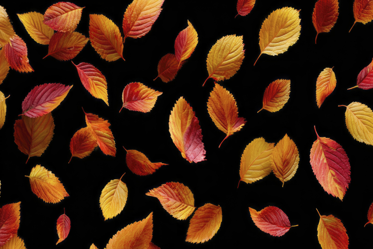 Autumn Leaves Background