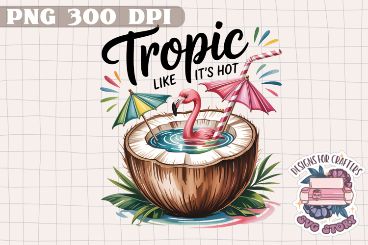 Flip Flops Png Image 23