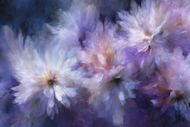 Flowers Texture Image 22