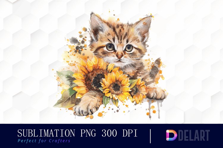 Kitten Png