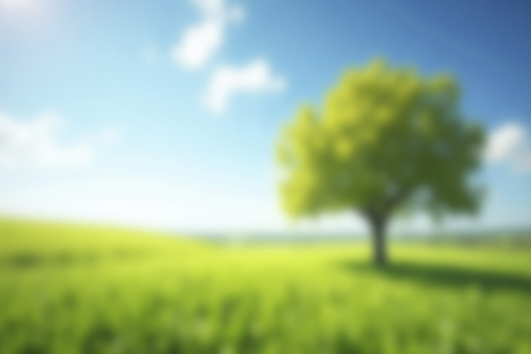 Green Texture Image 23