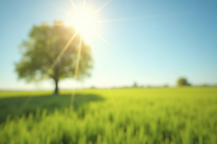 Green Texture Image 22