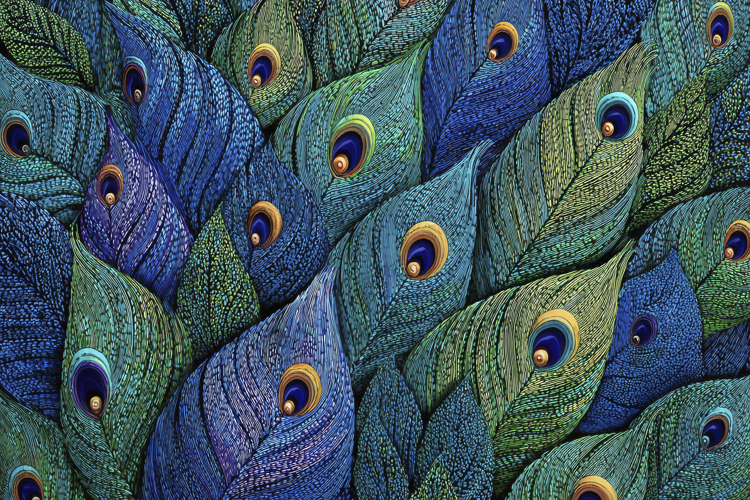 Vibrant Peacock Feathers Background