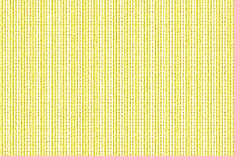 Stripe Texture Image 4