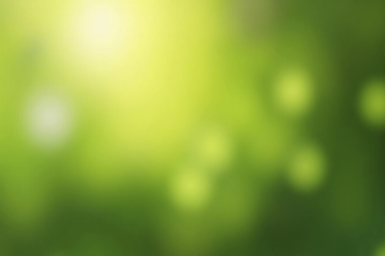 Green Wallpaper Image 17