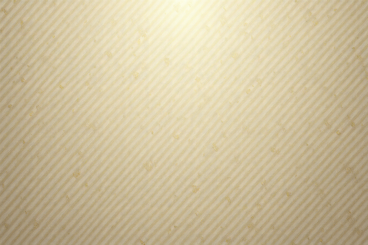 Stripes Texture Image 20