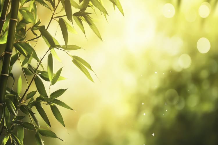Green Wallpaper Image 19