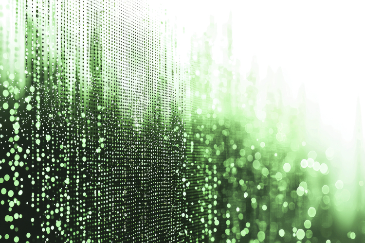 Green Wallpaper Image 11