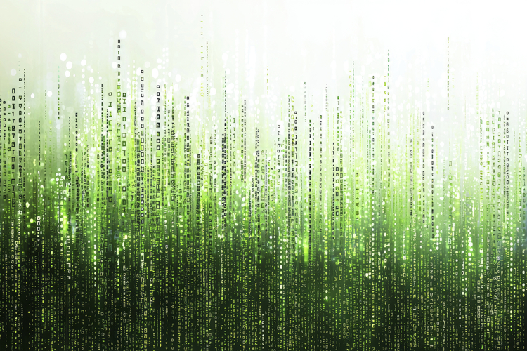 Green Wallpaper Image 23
