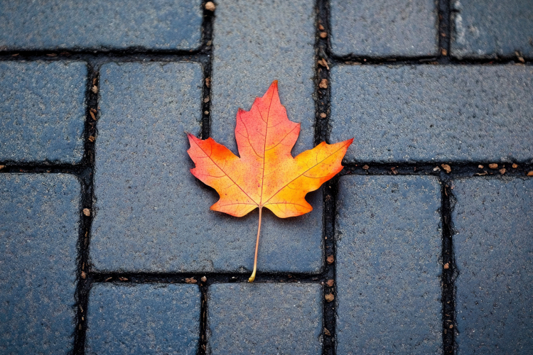 Leaf Texture Image 9