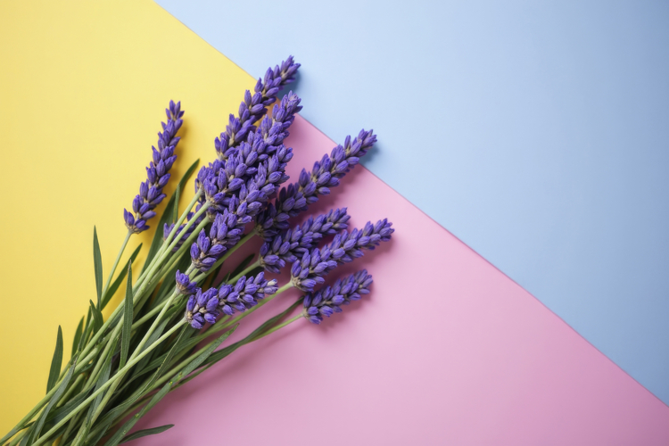 Colorful Texture Image 8