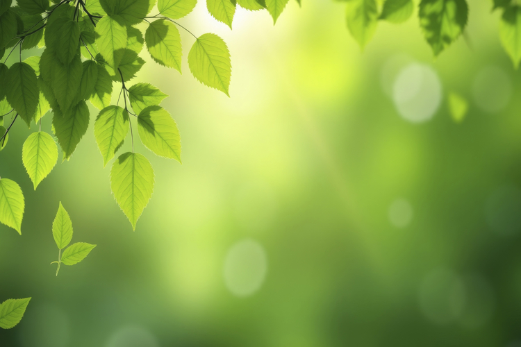 Green Texture Image 23