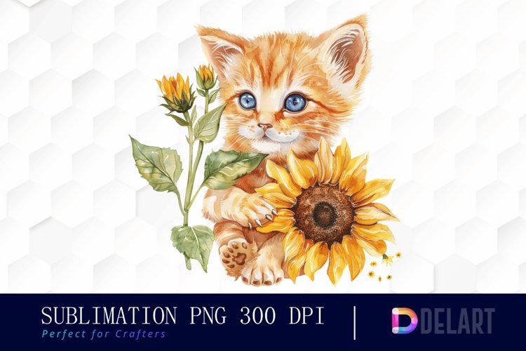 Kitten Png Image 22