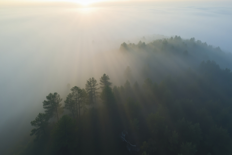 Golden Texture Image 4