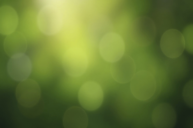 Green Texture Image 17