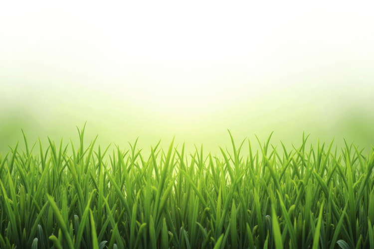 Green Texture Image 16